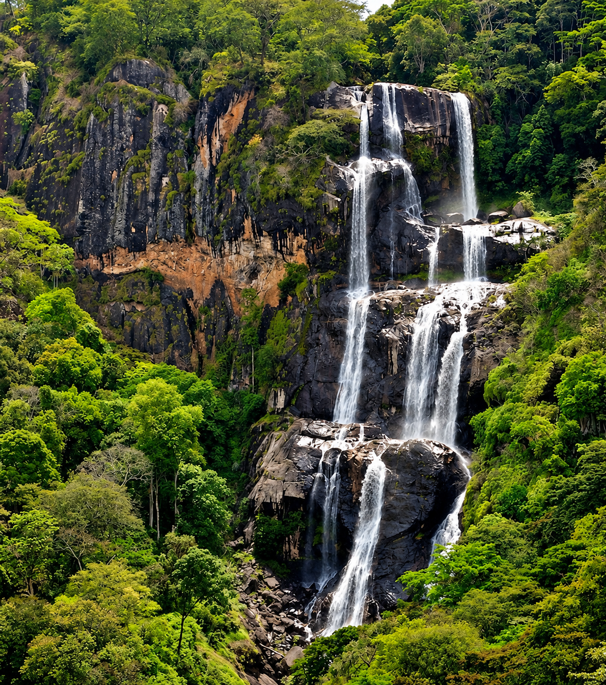 The Udzungwa Mountains